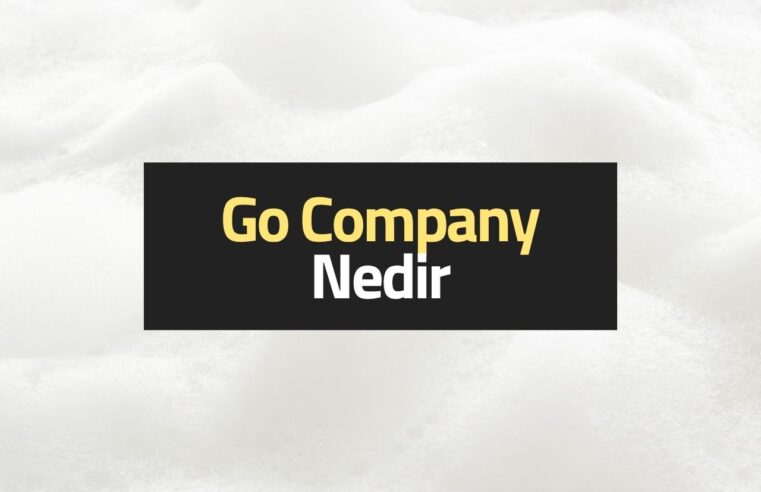 Go Company Nedir?