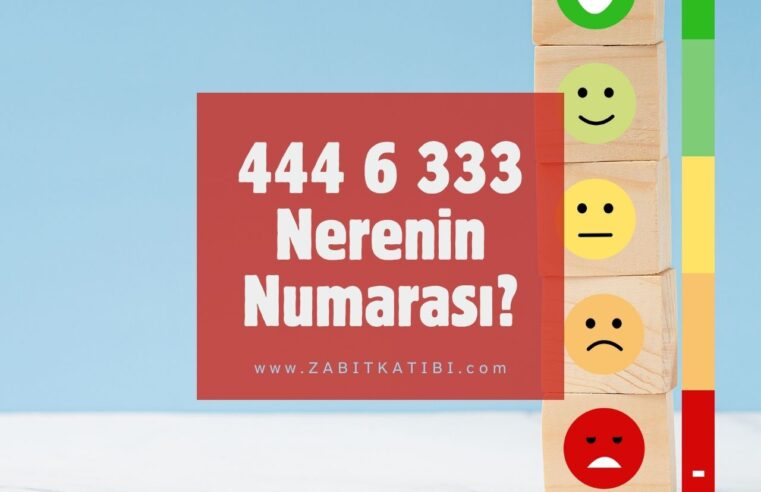 4446333 Nerenin Numarası?