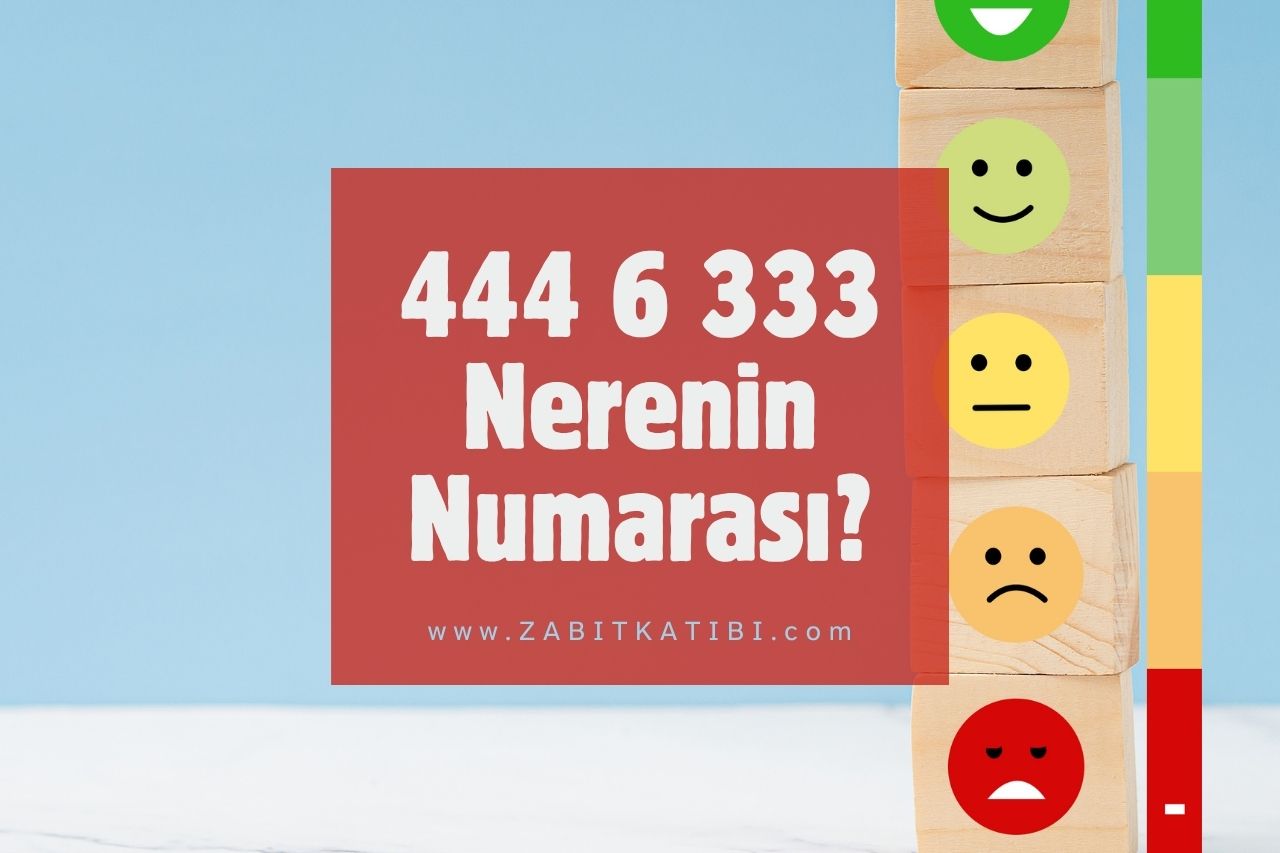 4446333 Nerenin Numarası?